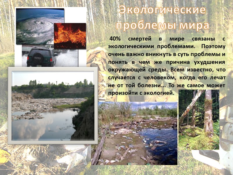 40% смертей в мире связаны с экологическими проблемами.  Поэтому  очень важно вникнуть